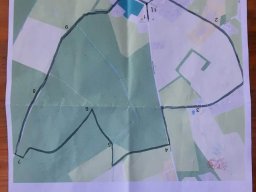 Sternmarsch Griestede 2025